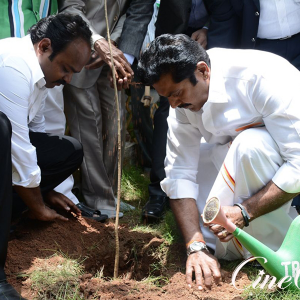 Actor-SarathKumar-Planted-Sapling-On-Independence-Day