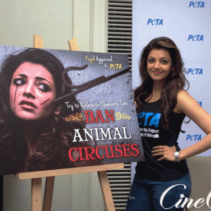 Kajal-Aggarwal-Scarred-by-Ankus-in-New-PETA-Campaign-against-Circus-cruelty-Stills