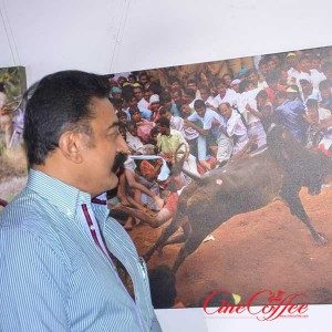 Kamal Haasan Launches Jallikattu (Veera Vilayattu) Photo Exhibition Stills