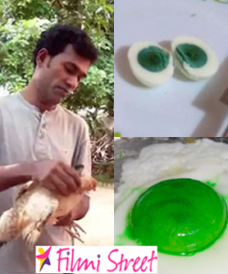 A green yolk Hen egg goes viral in Kerala scientists Confused