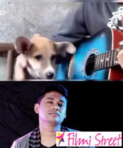 Dog Sung Corona virus song Video goes viral