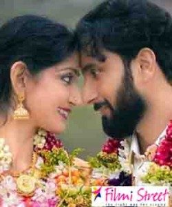 Malayala Actress Dhivya Unni got 2nd marriage