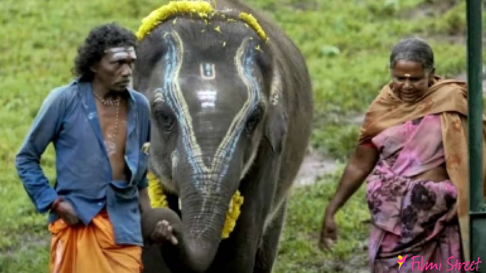 BREAKING தமிழக கதைக்களத்தில் கார்த்தி இயக்கிய The Elephant Whisperers படத்துக்கு ஆஸ்கர் விருது