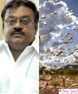 locust attack in india