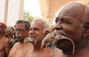 tamilnadu farmers